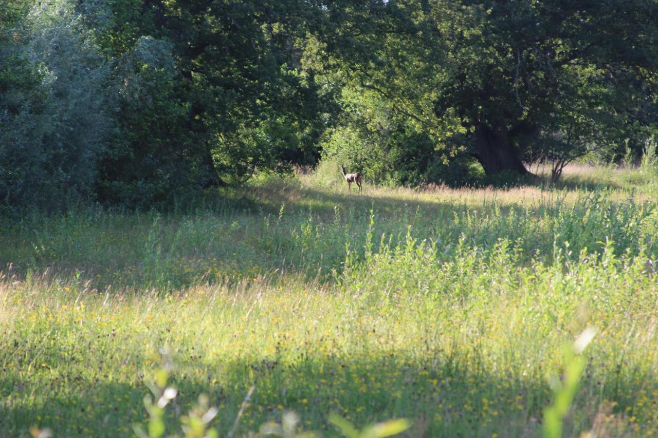 Leuk Boerderijtje Op Prachtige Plek, Nabij Natuurgebied Ruurlo Exterior foto
